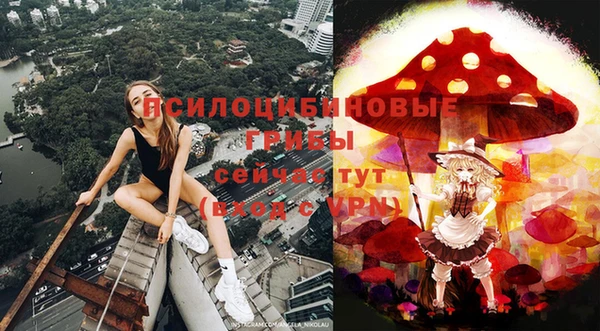 ПСИЛОЦИБИНОВЫЕ ГРИБЫ Алзамай