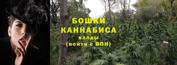 хмурый Протвино