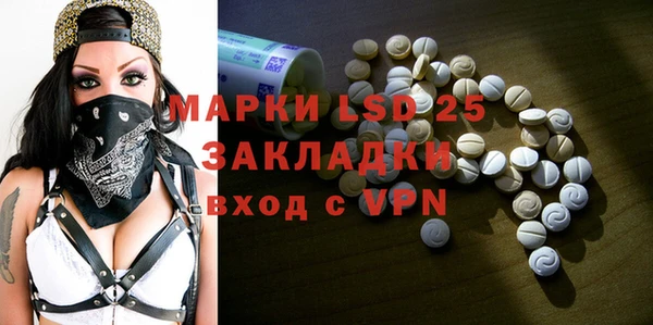 ПСИЛОЦИБИНОВЫЕ ГРИБЫ Алзамай