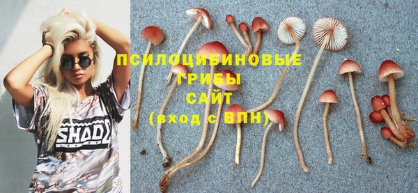 ALPHA PVP Пролетарск